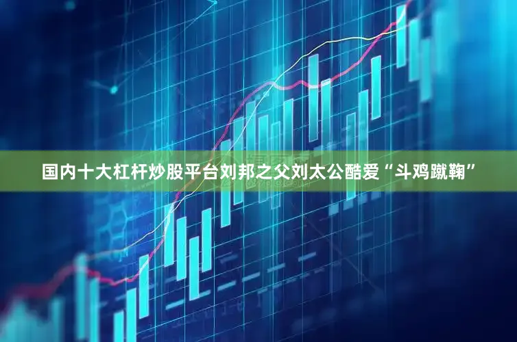 国内十大杠杆炒股平台刘邦之父刘太公酷爱“斗鸡蹴鞠”