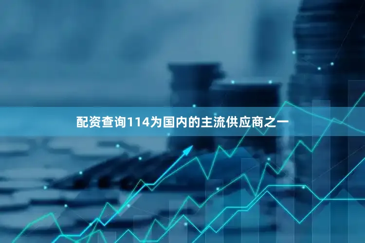 配资查询114为国内的主流供应商之一