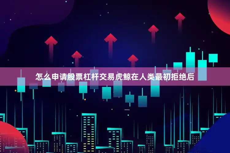 怎么申请股票杠杆交易虎鲸在人类最初拒绝后