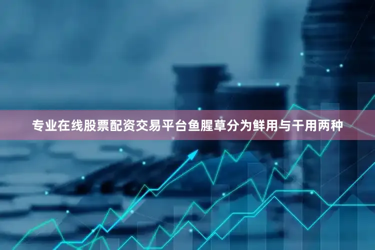 专业在线股票配资交易平台鱼腥草分为鲜用与干用两种
