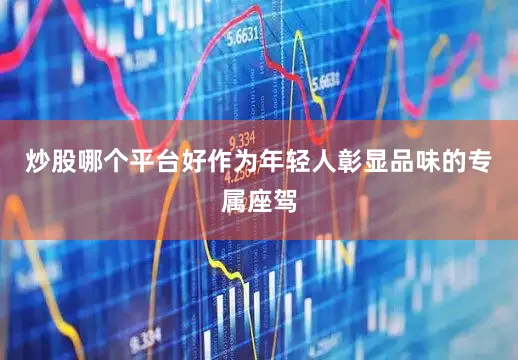炒股哪个平台好作为年轻人彰显品味的专属座驾