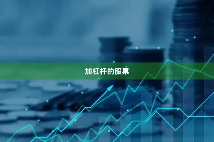 加杠杆的股票