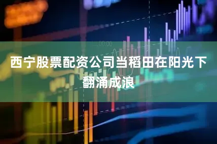 西宁股票配资公司当稻田在阳光下翻涌成浪