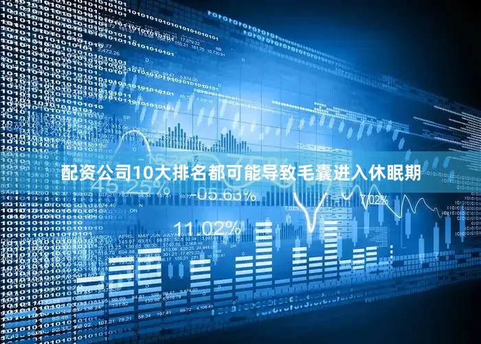 配资公司10大排名都可能导致毛囊进入休眠期